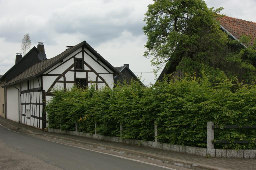 Authentiek Eifelhuis Villa Hecken Rum bild